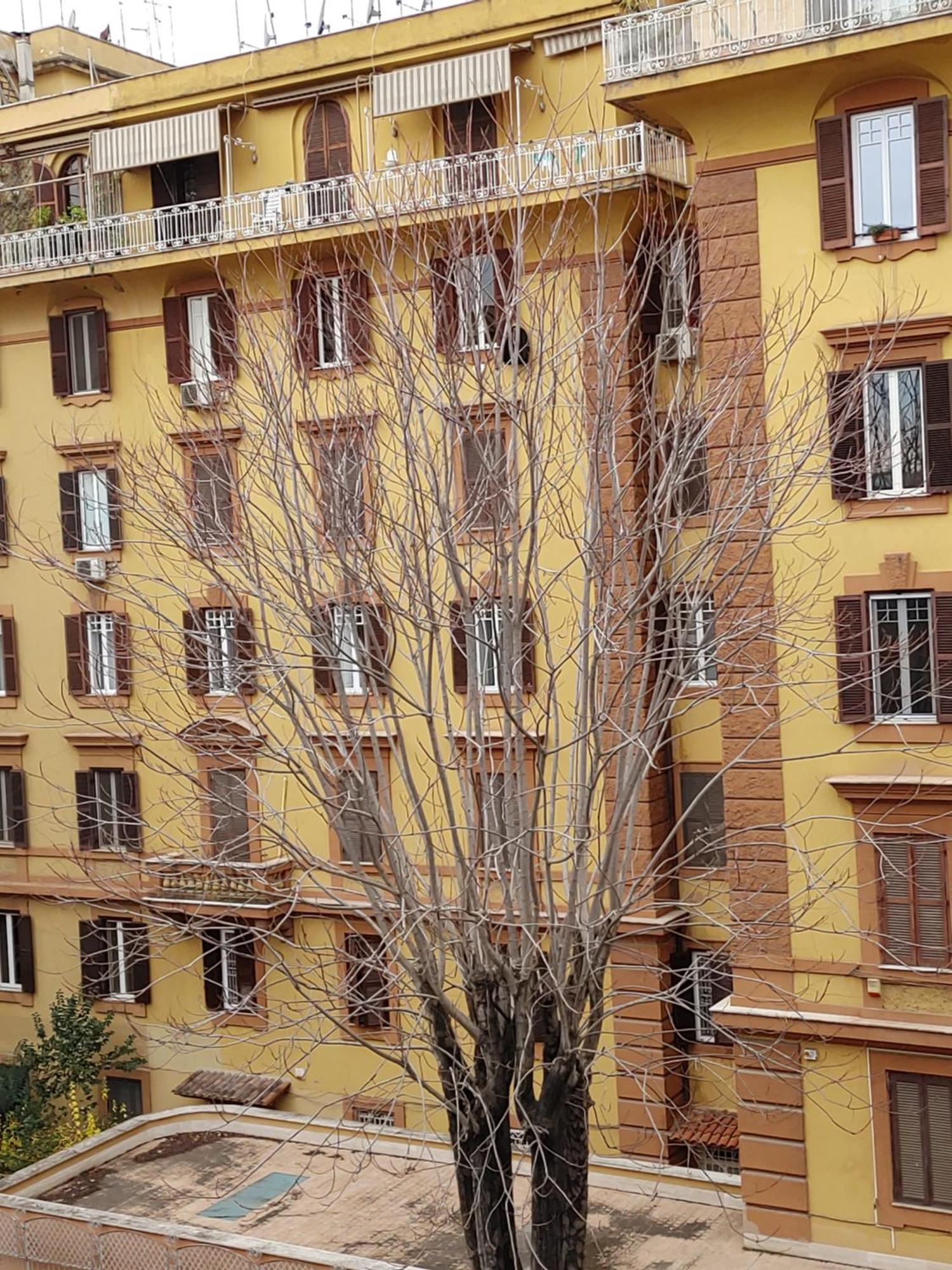 Studio Flat Trastevere Řím Exteriér fotografie